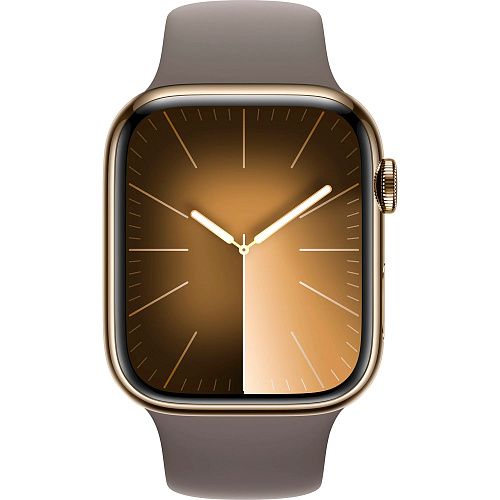 Apple Watch Series 9 45mm GPS + LTE Gold Stainless Steel with Clay Sport Band M/L (MRMT3) MRMT3 фото