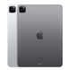 Apple iPad Pro 11 (2022) Wi-Fi + LTE 1TB Space Gray (MP5E3) MP5E3 фото 3