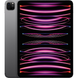 Apple iPad Pro 11 (2022) Wi-Fi + LTE 1TB Space Gray (MP5E3) MP5E3 фото 1