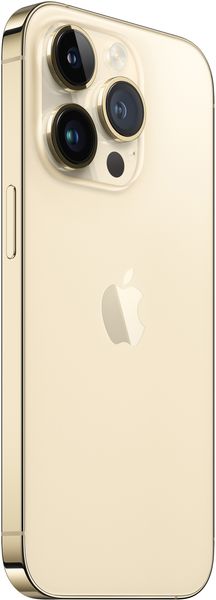 Apple iPhone 14 Pro Max 1TB Gold (MQC43) MQC43 фото