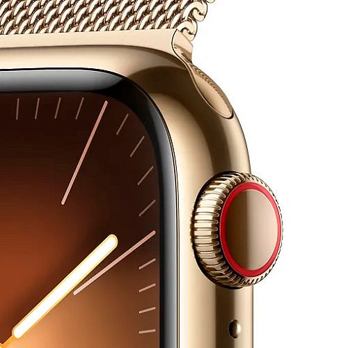 Apple Watch Series 9 41mm GPS + LTE Gold Stainless Steel with Gold Milanese Loop (MRJ73) MRJ73 фото